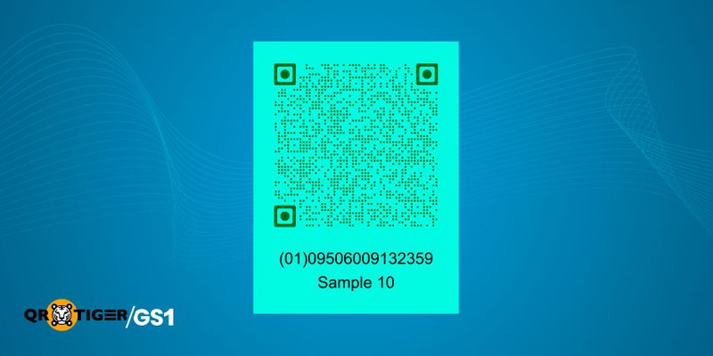 Customized data rich QR code
